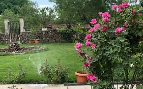 Chez Yvette